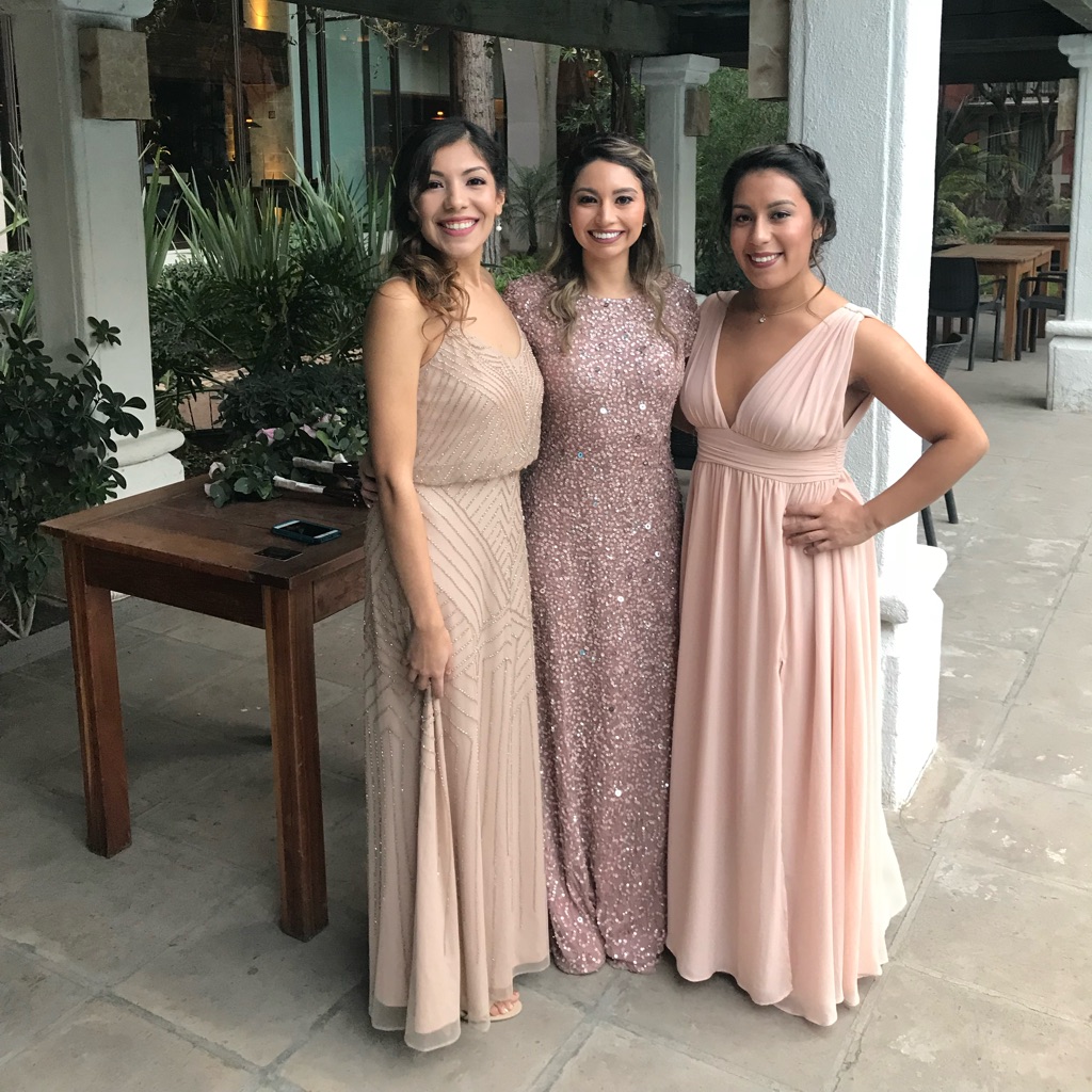 Adrianna Papell Antique Rose Gown